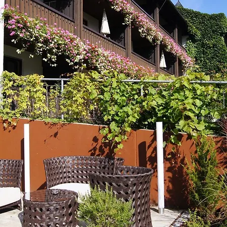 酒店 康拉德霍夫酒店 巴特格里斯巴赫